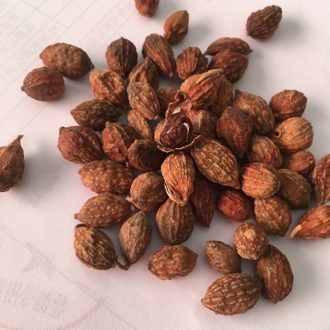 中药材益智仁小砂仁去皮砂仁 天然调料香料 批发哦