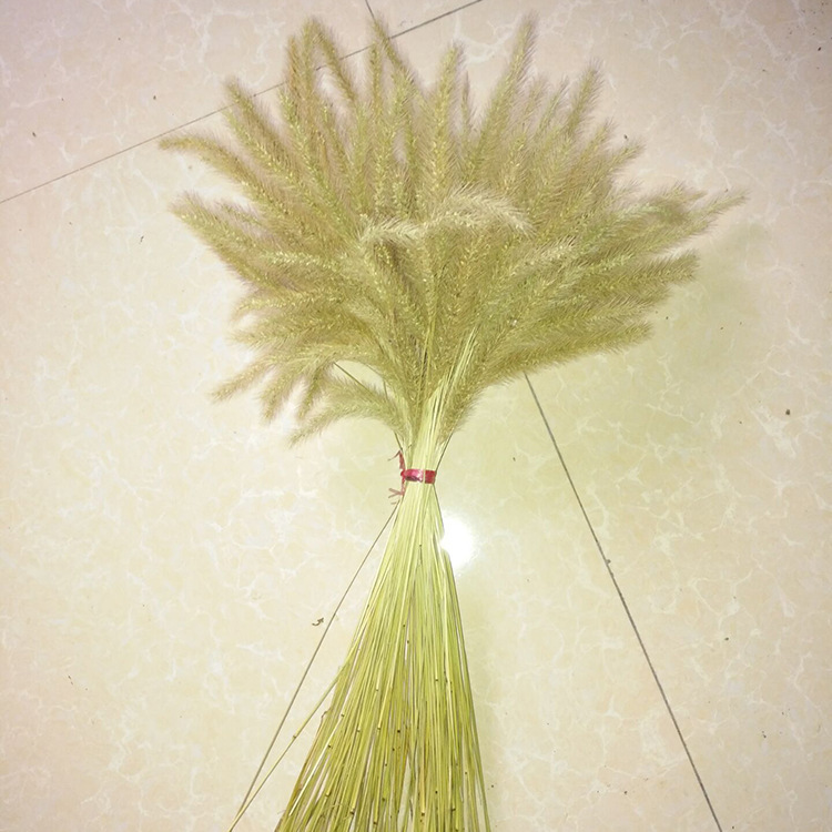 仿真草狗尾草摄影道具 餐厅摆花假花 客厅装饰观赏狗尾巴草