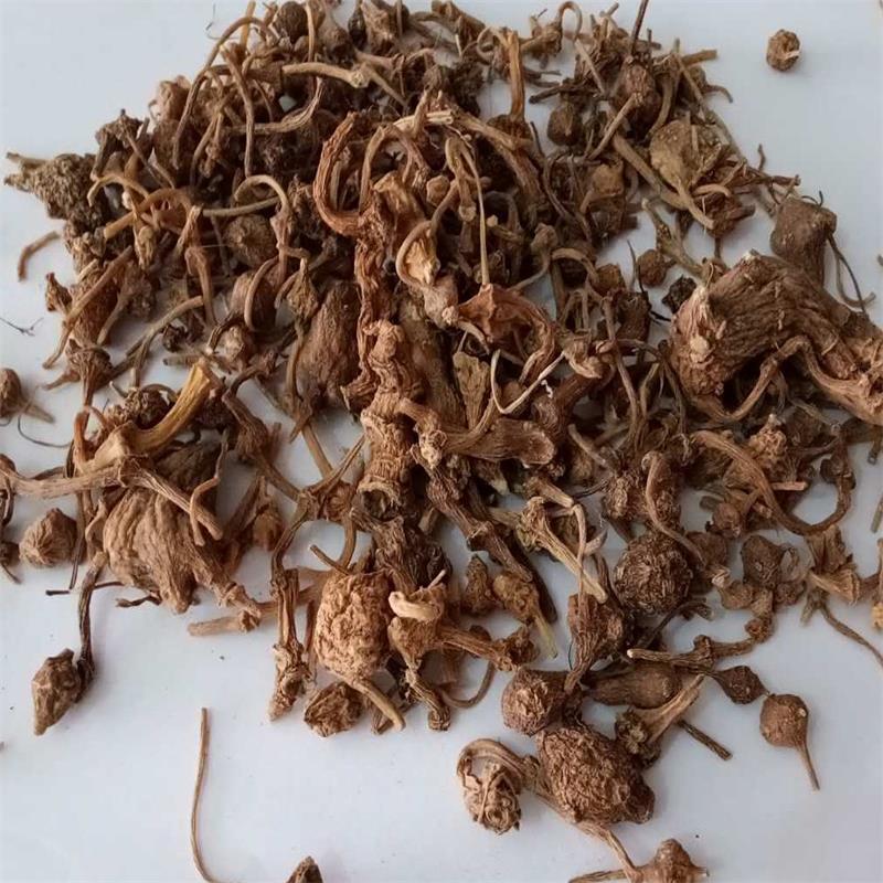 飒枫冷背药材 珠儿参 钮子七 珠子参疙瘩七 60-300目粉-阿里巴巴