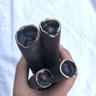 产地直供 植物牛角树 便秘果 大解果 缅甸大解 腊肠果 肠宿