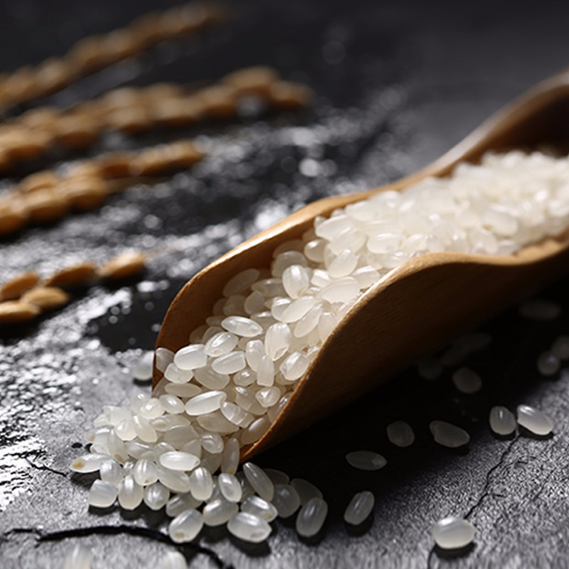 金健东北大米贡米软香粳米粥米5kg 粘米北方珍珠米10斤袋装 批发