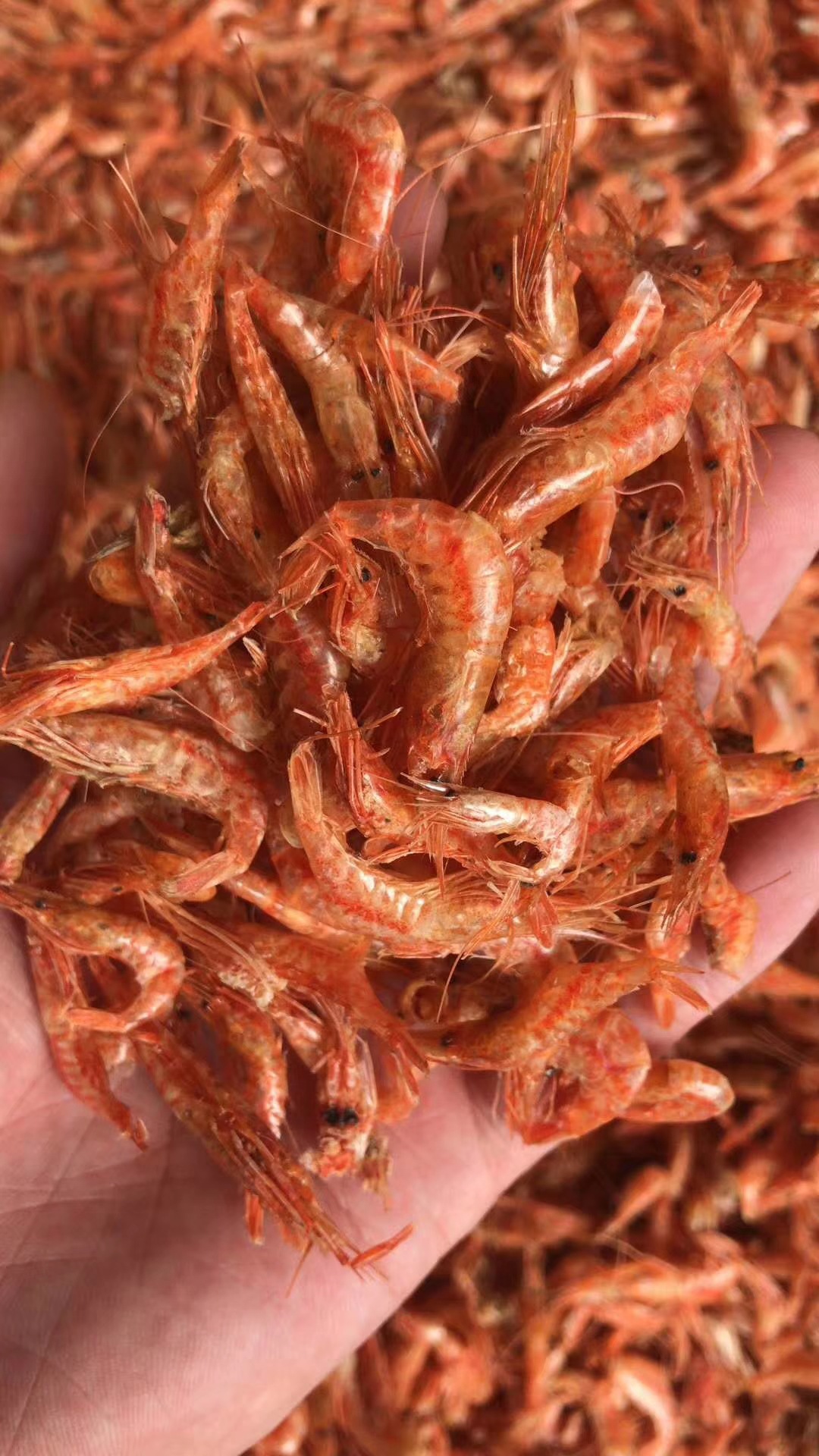 红虾干批发 红虾 小红虾 烘干虾 海鲜干货 海产干货 量大从优