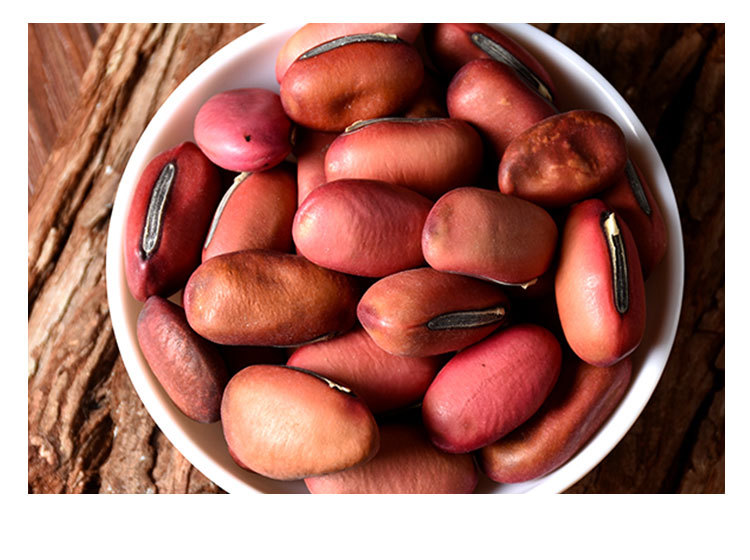 批发中药材刀豆 无硫新货大红刀豆 颗粒饱满色泽干度好 品种齐全