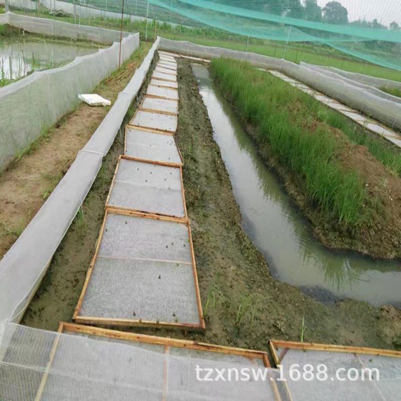 40目60目青蛙养殖防逃网 牛蛙养殖围网 青蛙食台网 水产养殖网