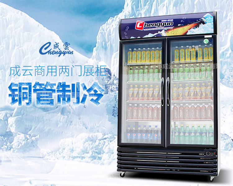 冷藏展示柜_广州成云厂家商用两门冰柜超市冰箱饮料啤酒冷柜冷藏 - 阿