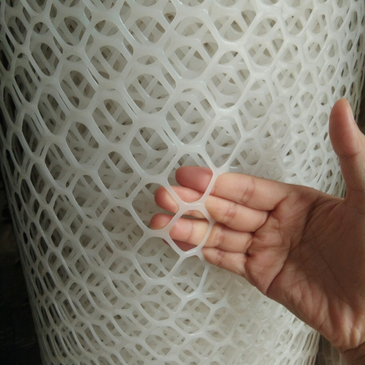 泰州靖江盐城江阴塑料平网 白平网 1.2公分养鸡塑料网