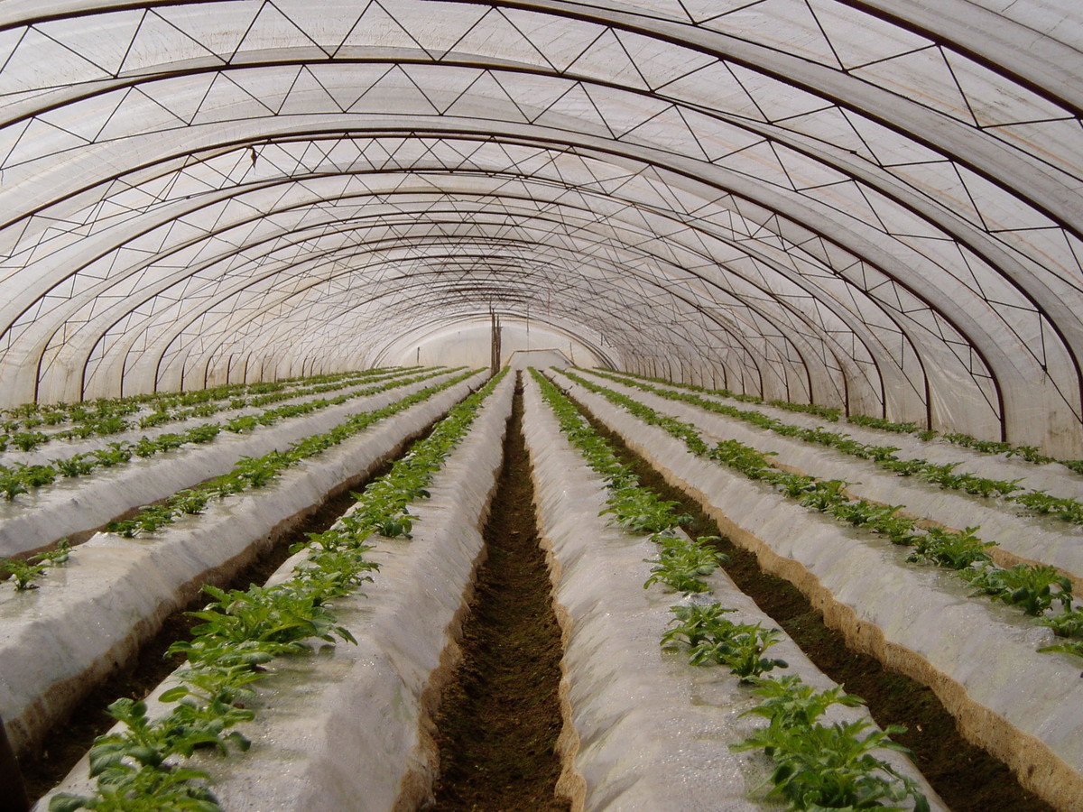 农用塑料薄膜黑白色透明加厚除草地膜蔬菜保鲜保温树苗保护专用膜