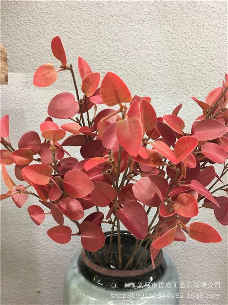 现代田园欧式美式金钱叶仿真植物尤加利婚庆摄影道具桉树叶枯树叶