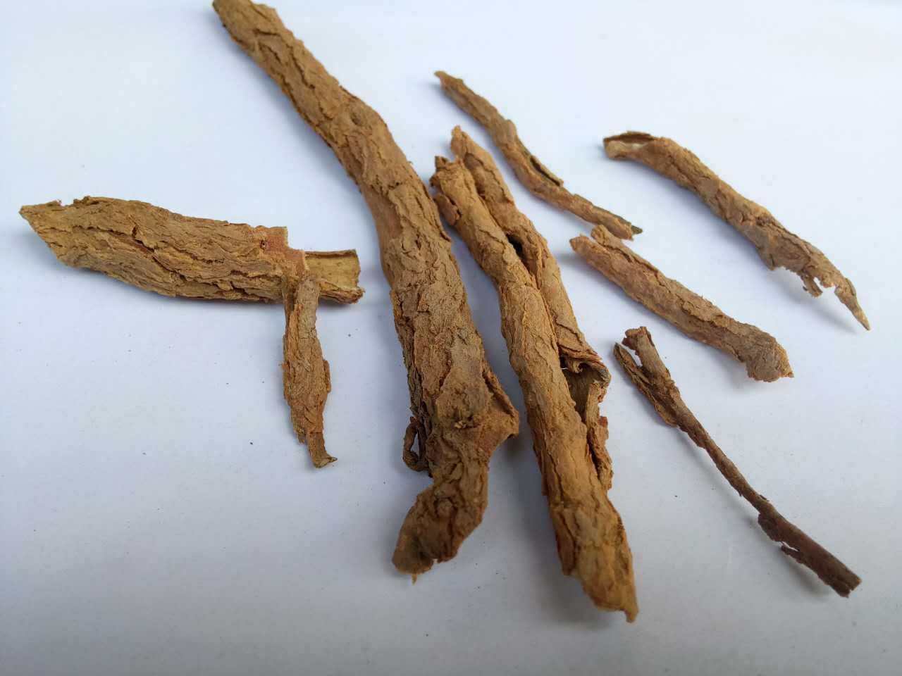 包邮飒枫中药材 地骨皮 优质 无沫子 无杆子 野生地骨皮 厂家直销