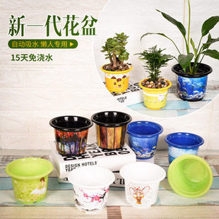 【多肉花盆图案图片】_海量精选多肉花盆图案图片大全