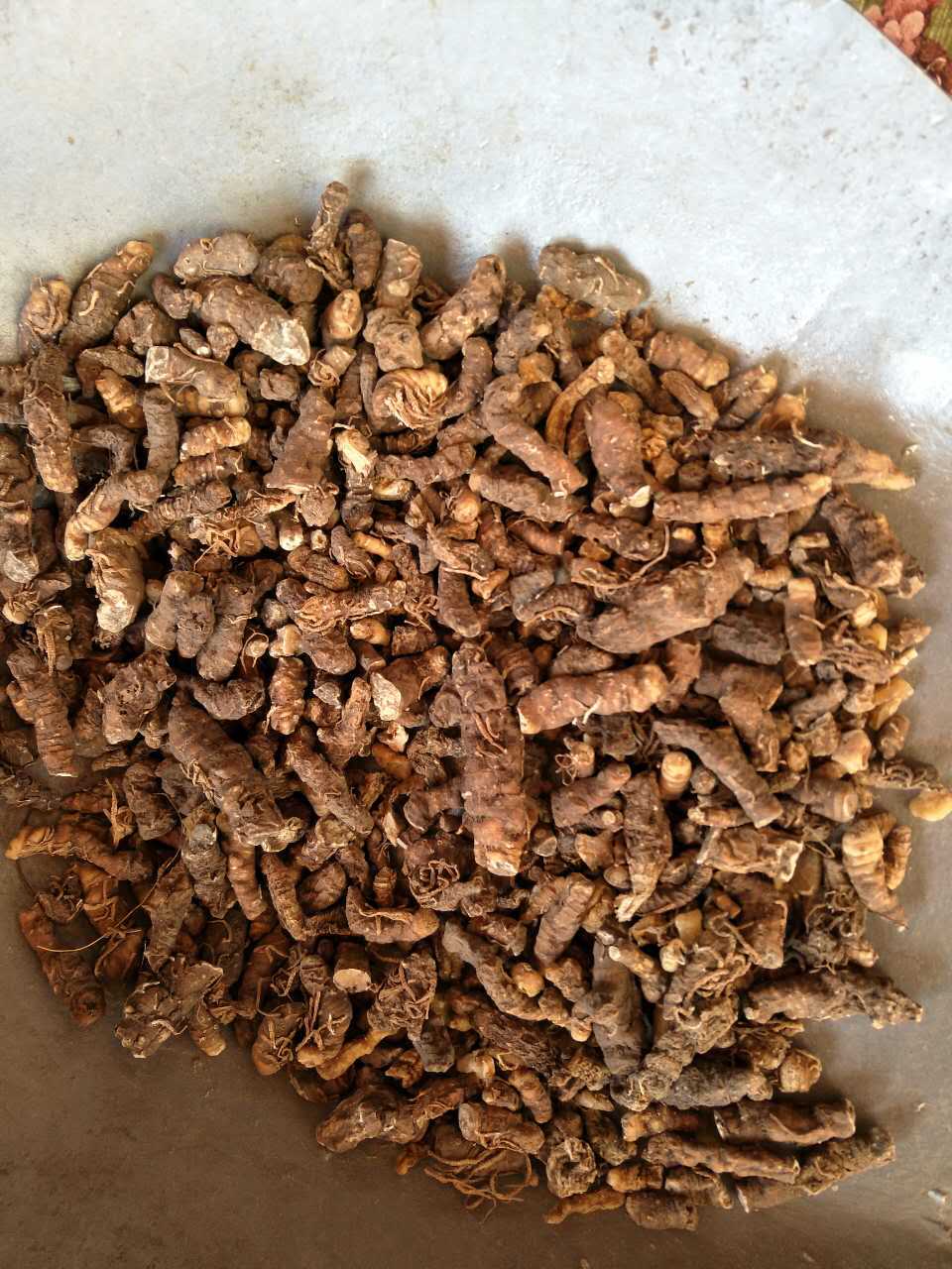 飒枫批发中药材 七叶一枝花 重楼 蚤休 厂家直供质量保证