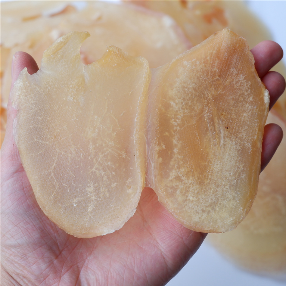 响螺片 响螺肉500克 广西特产煲汤鲜美厂家批发干货