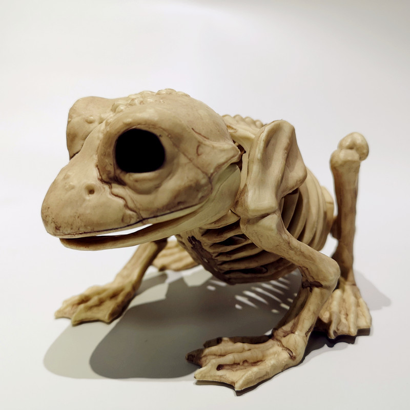 跨境专供好品质青蛙骨架万圣节ktv酒吧场地布置道具骷髅青蛙骨架