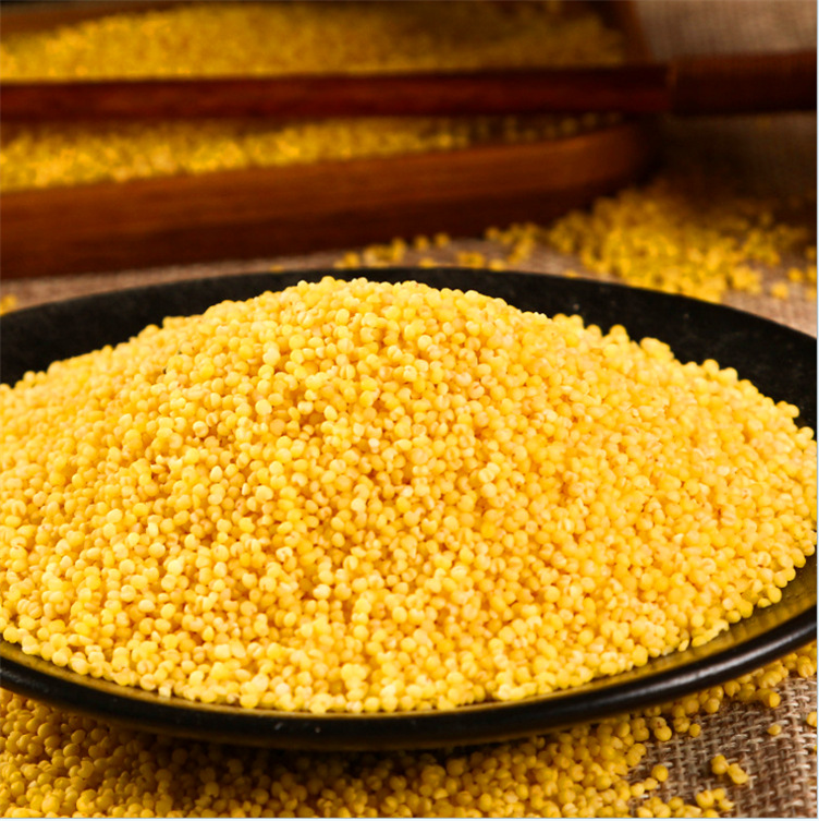 00 品种 粟(谷子) 等级 1 容重&ge; 740(g/l)  不完善率&le; 2.