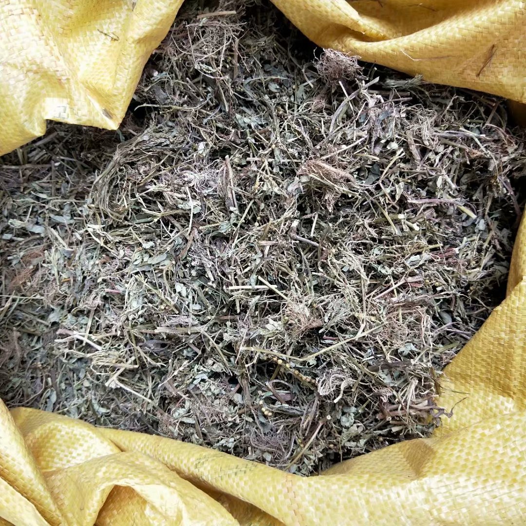 中药材珍珠草 龙珠草 叶下珠 每件500克