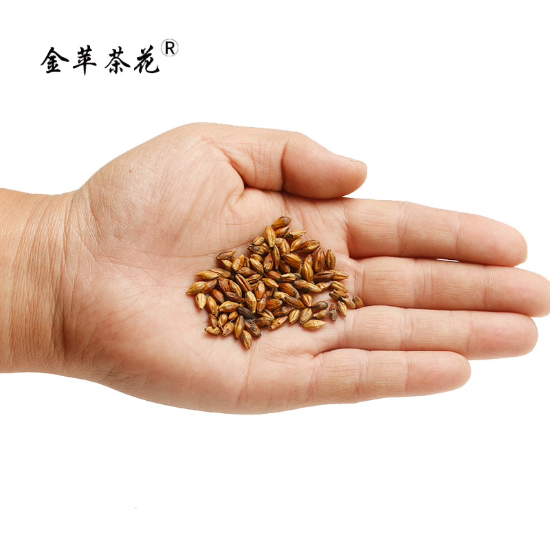 金苹茶花大麦散装批发大麦花果茶花草茶批发散装大麦茶厂家