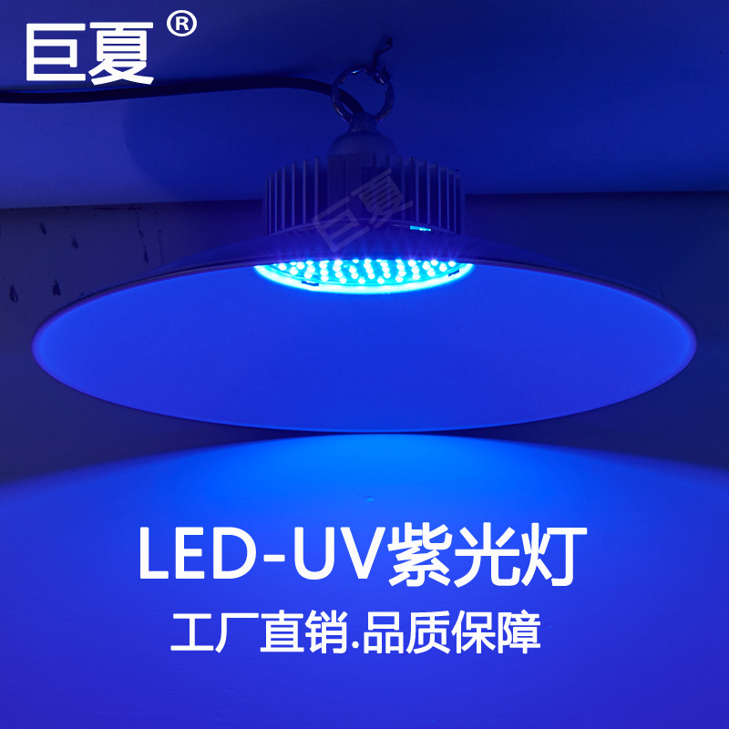 0成交5只黑水虻养殖补光灯led仿太阳光虫卵生长灯 室内昆虫光合作用