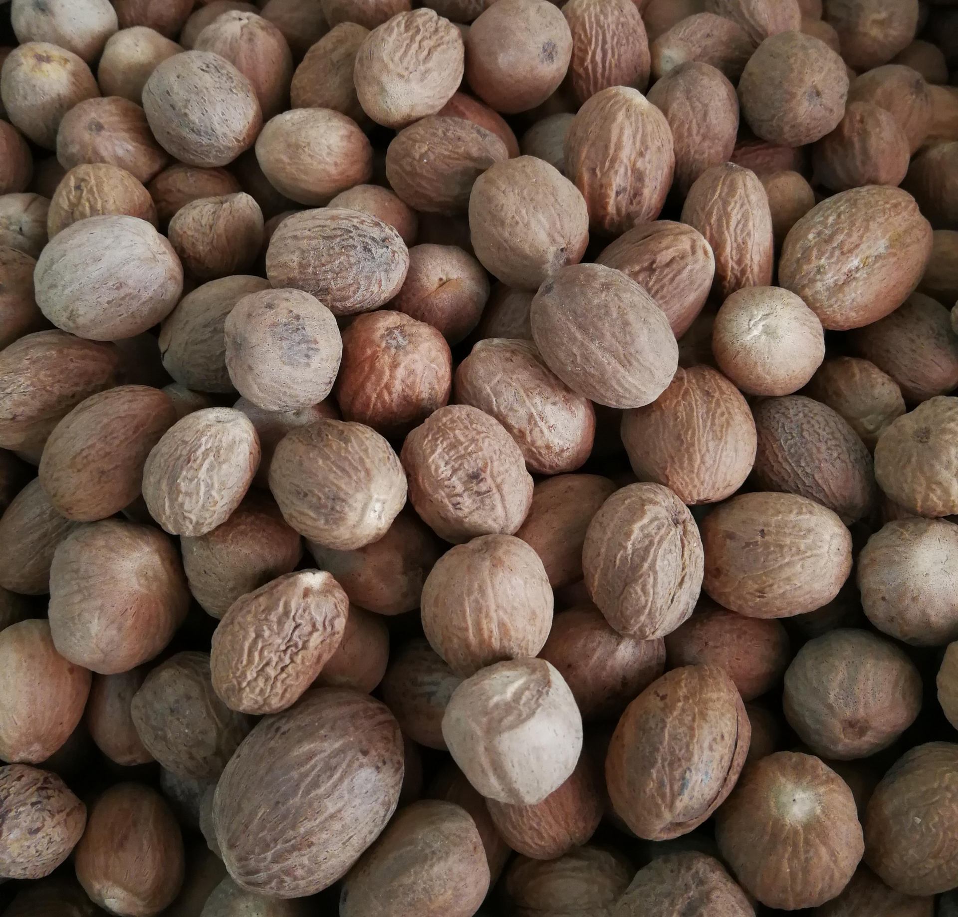 供应肉豆蔻 玉果 肉蔻 豆蔻 香料 调料 香料粉 代磨肉蔻磨