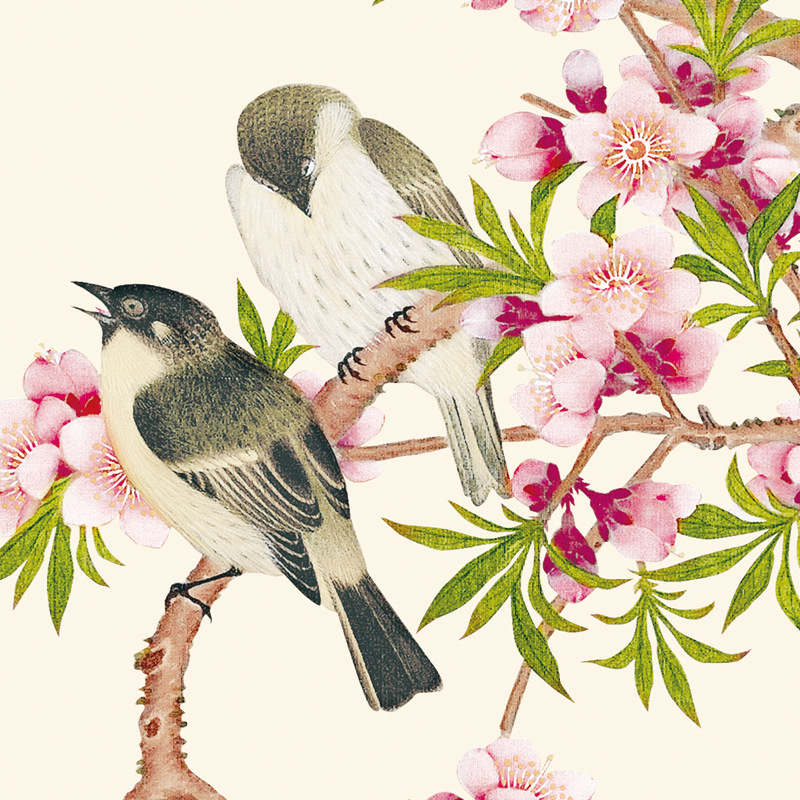 桃花燕子 (2).jpg