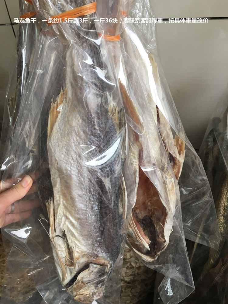 一夜埕刀鲤阳江特产淡晒鱼干海鲜鱼干一件代发 海鲜大礼包
