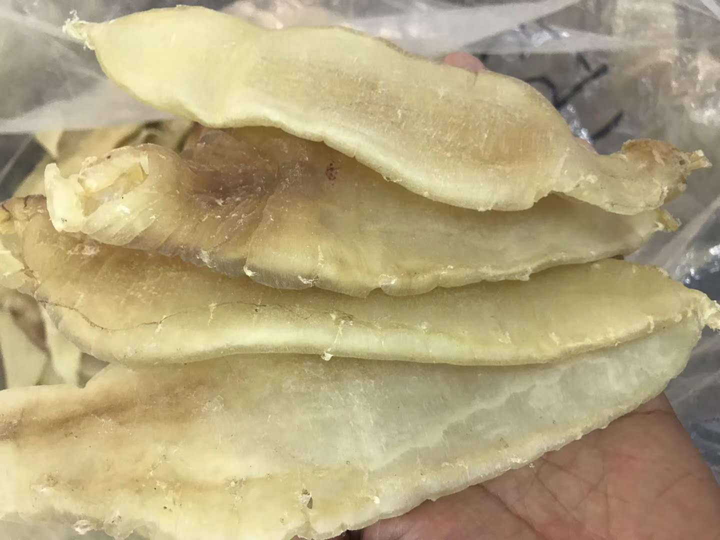 一德路海味 大口胶 13头￥1750 14头￥1720 15头￥1700