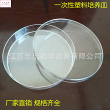 一次性塑料培养皿 细胞培养皿 55mm 60mm 70mm 90mm 100mm