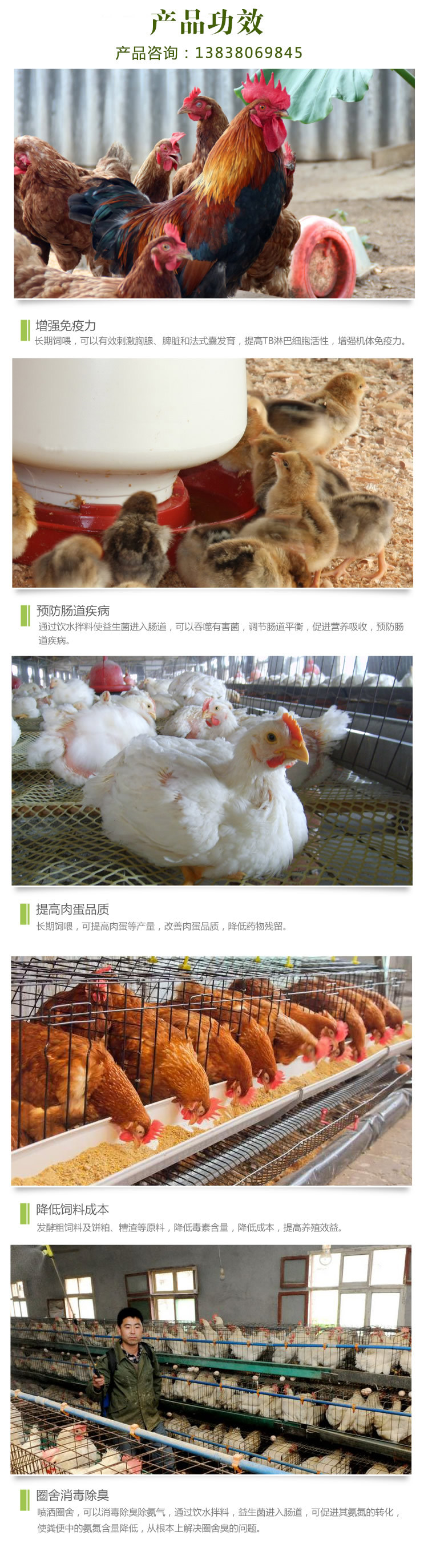 养鸡em菌液功能