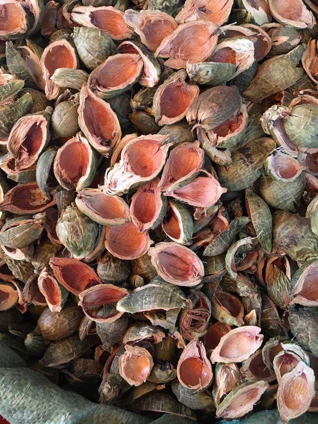 农家采摘药材黄药子黄药 黄独9斤包邮