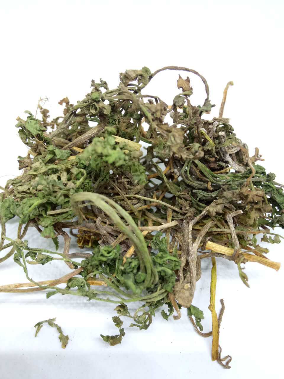 包邮产地货源飒枫中药材 华东阳地蕨 一朵云 小春花满天云冷背货