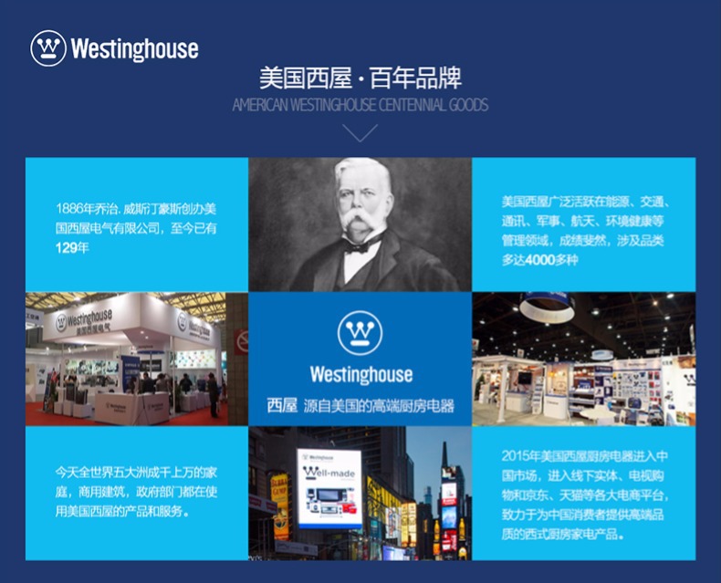 西屋电动牙刷头两只装301b/301p/301w/501w/301g/301f/505适用