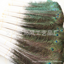 自然色100-110cm孔雀尾孔雀羽毛现货家居装饰孔雀毛