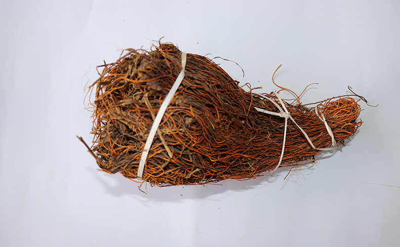 中药材 马尾连 马尾黄连 马尾莲 草黄连 金丝马尾莲 唐松草