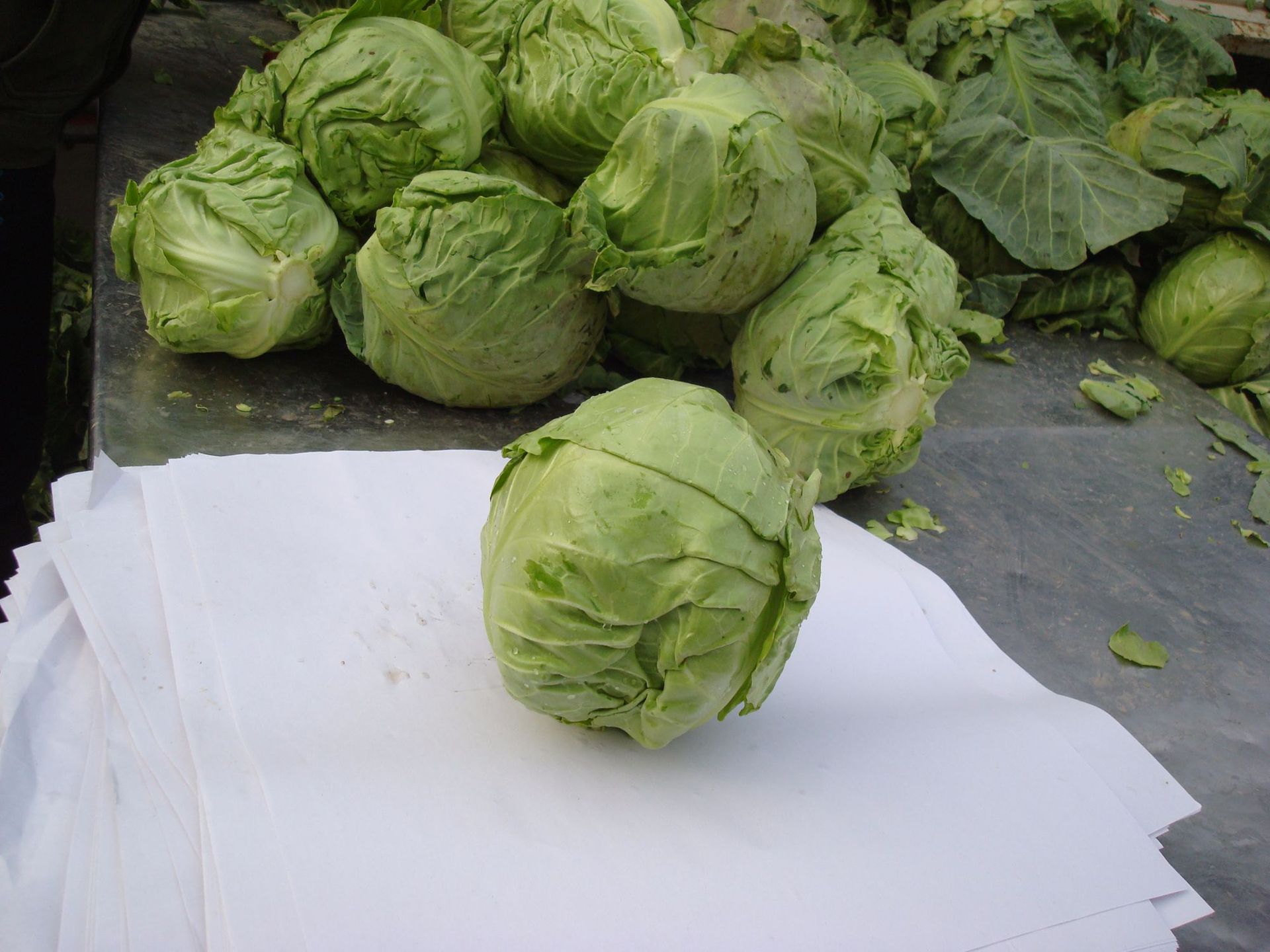 厂家供应 新鲜大头菜,甘蓝 欢迎咨询