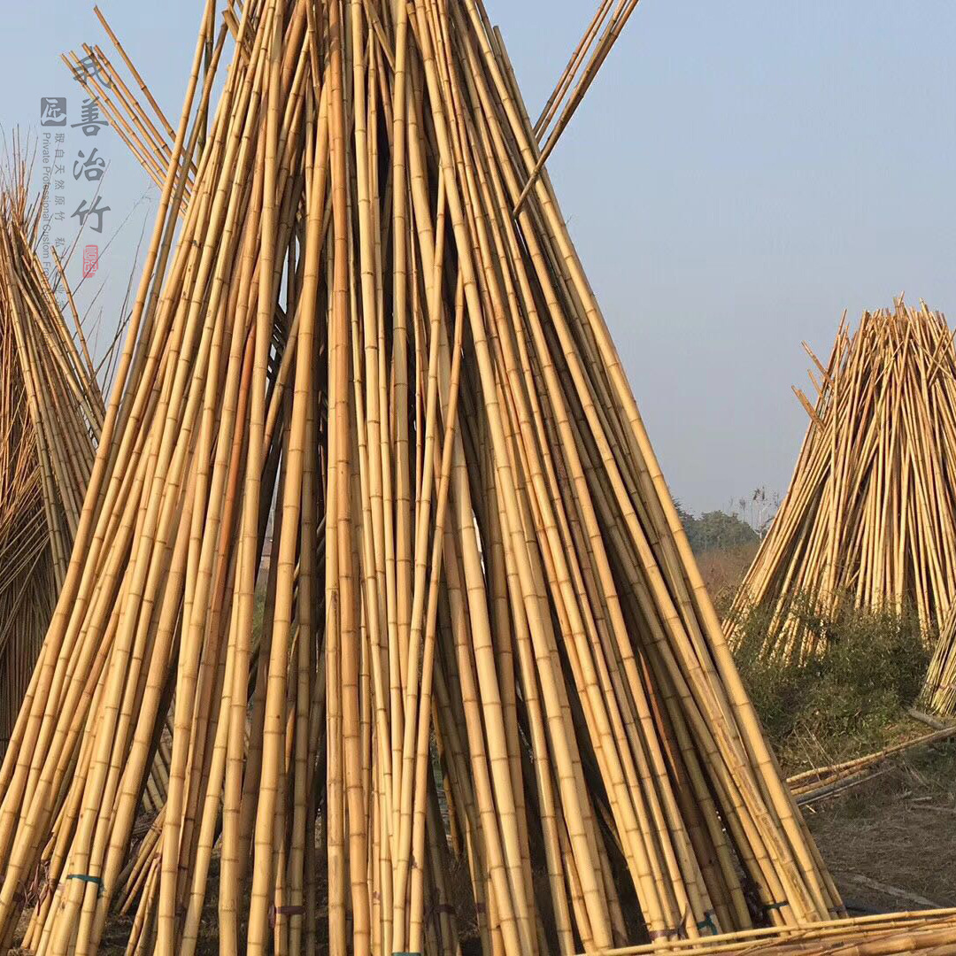 厂家批发定制各种规格天然原竹装饰装潢竹竿白竹竿竹片碳化竹竿