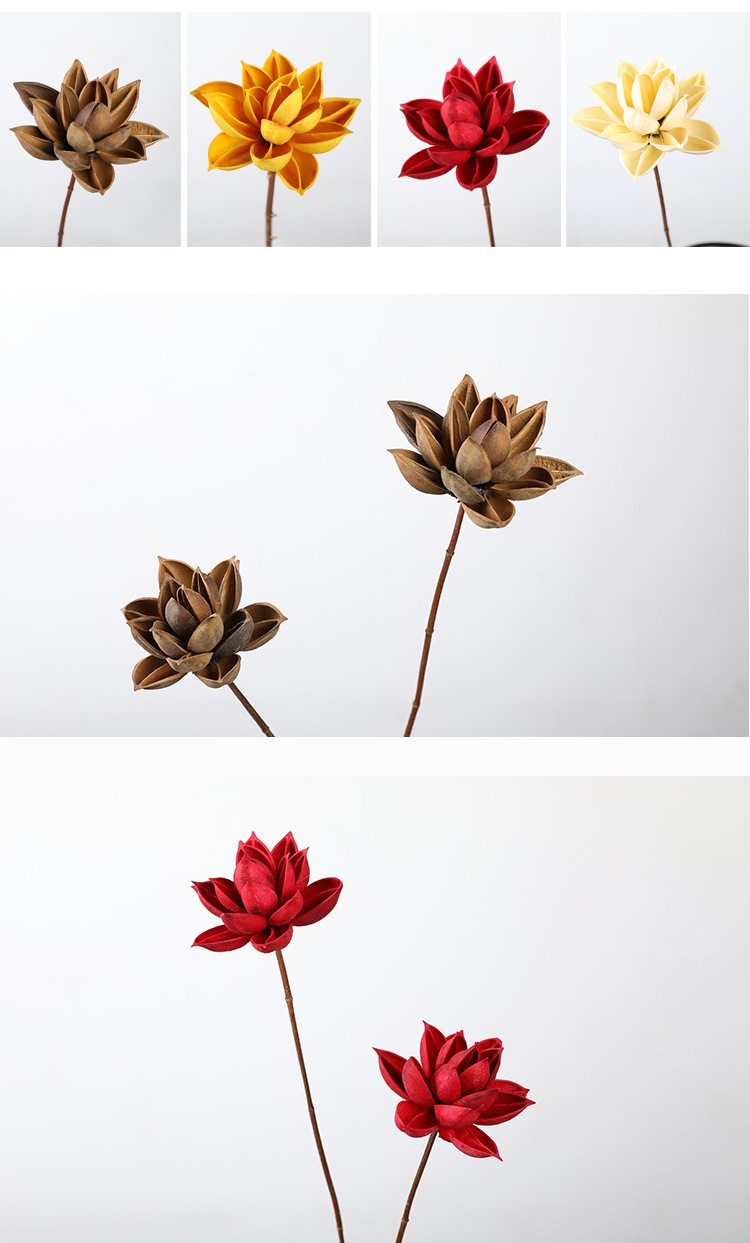 天然干支干果生态装饰插花花艺花瓣果壳手工干花系列家居装饰品