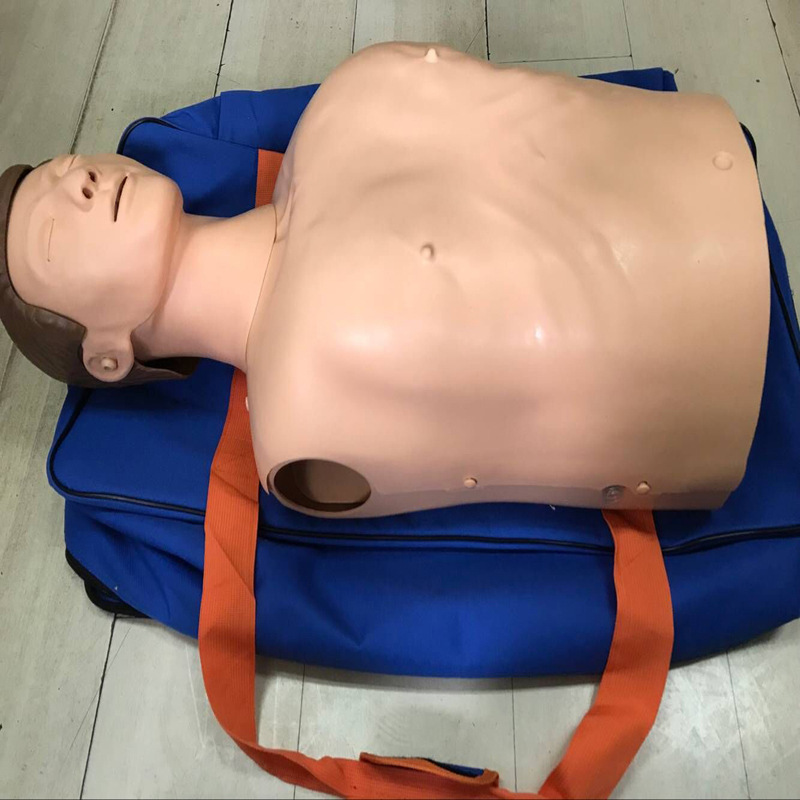 半身心肺复苏模拟人人工呼吸急救模型医学教学模型假人
