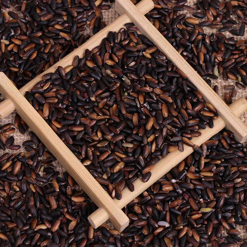 粗粮五谷杂粮血糯米 月子米血米农家米批发 五谷磨坊磨粉专用杂粮