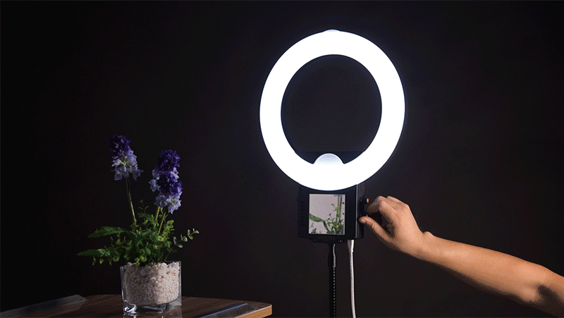 18寸环形补光灯 网红直播视频灯 led摄影灯具 手机自拍抖音柔光灯