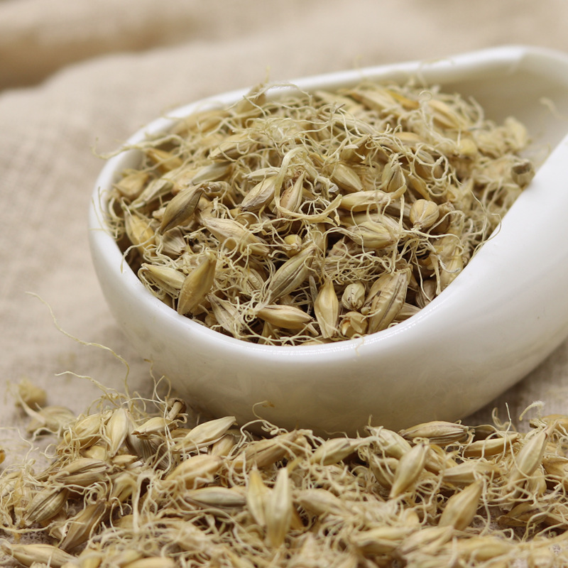 中药材 大麦芽 生麦芽 炒麦芽 大麦毛 全芽足干 支持药检