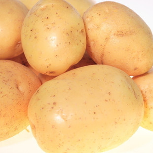 预售陕北定边白皮土豆 农家自产洋芋 10斤起批 新鲜土特产马铃薯