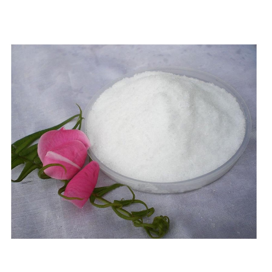 现货供应 食品级呈味核甘酸二钠(i g) 增味剂 量大优惠