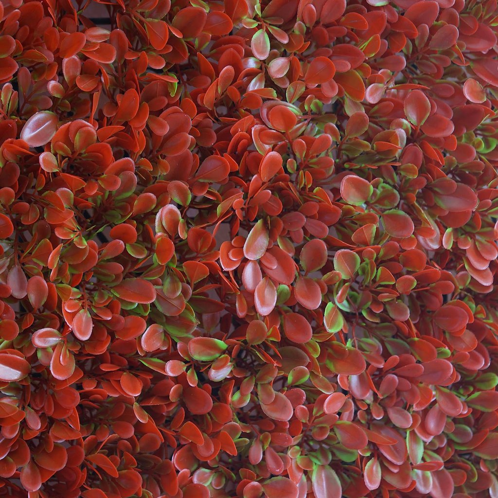 包邮红色发财草仿真草垫节日橱窗背景装饰植物墙婚庆塑料假草坪墙