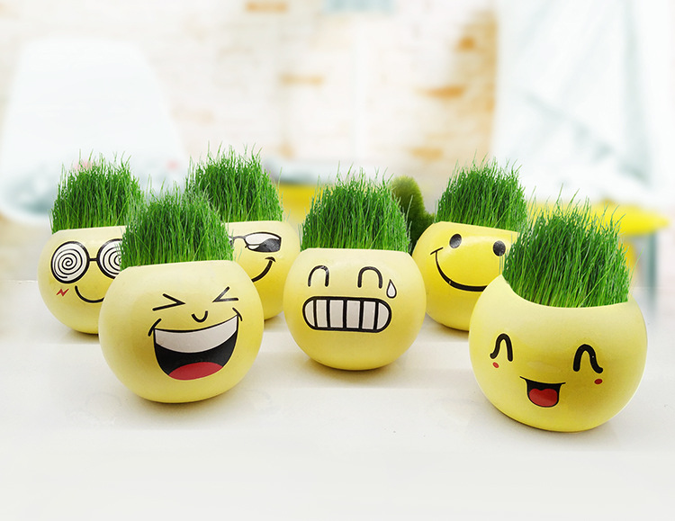 长草娃娃迷你盆栽 炫酷笑脸 独立盒装 六个表情 diy桌面创意盆栽
