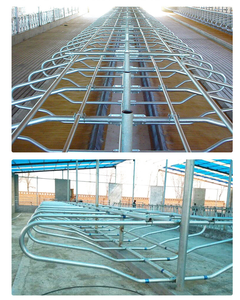 牛卧栏 奶牛定位栏永富金通养殖场设备机械弹簧单体双体牛卧床