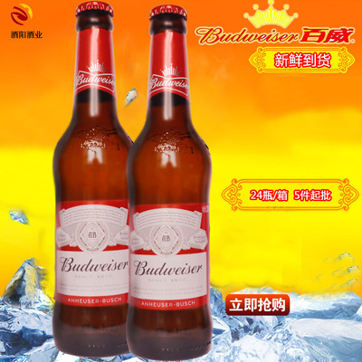 批发供应 275ml 百威啤酒红瓶 商超夜场ktv酒水 整箱24小瓶装