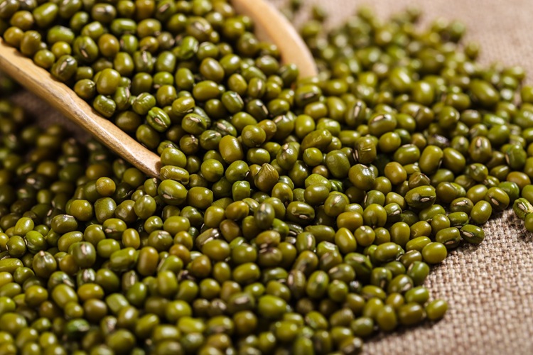 农家自产绿豆950g五谷杂粮煮粥原料批发非真空包装健康杂粮绿小豆