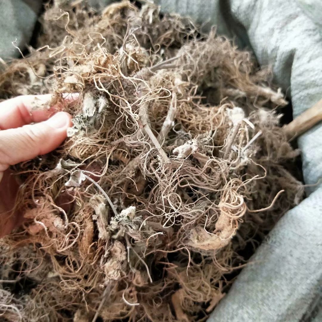 中药材地胆头  草鞋根  草鞋底 每件500克