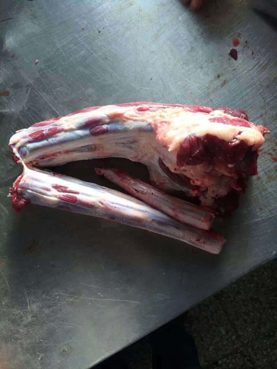 真空牛尾批发 鲜冻牛尾切块 鲜冻生牛尾