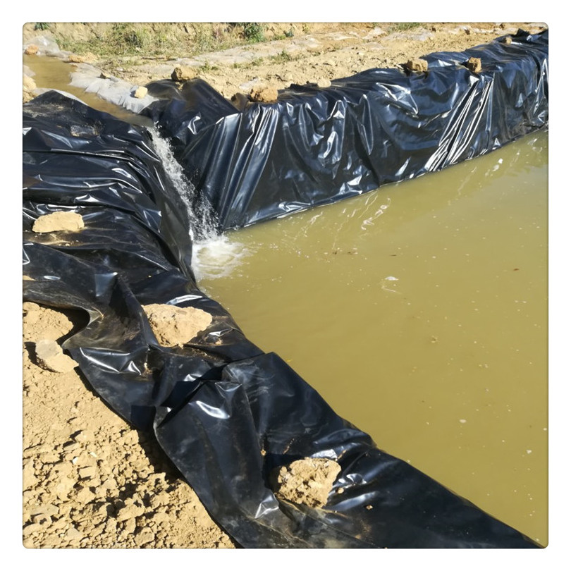 500克土工膜楼房地基建筑防渗防潮膜鱼塘养殖藕池种植防渗膜现货