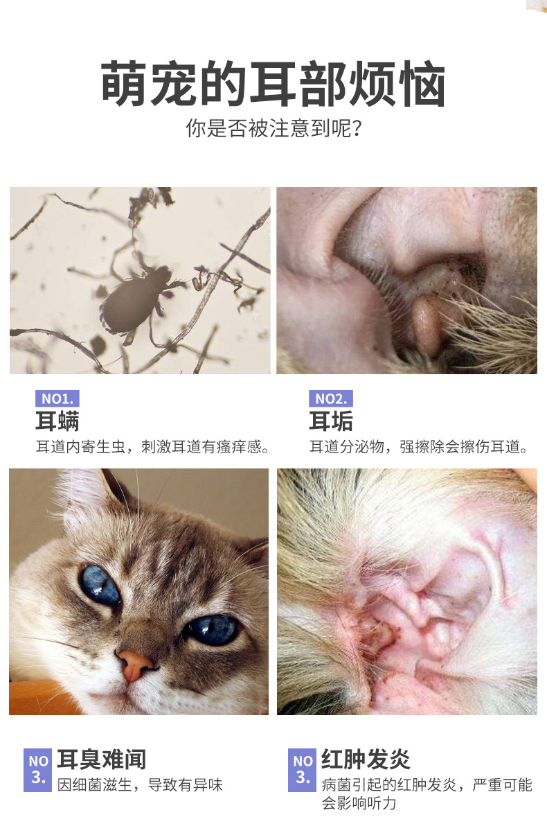 猫咪耳螨是怎么引起的图片